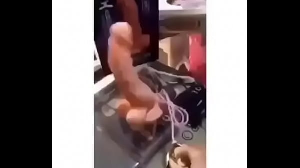 Nonton Dildos Performance thumbnail