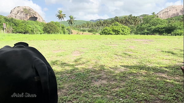 Play MP4 - Vlog de acampamento - Ele GOZOU DENTRO da minha BUCETINHA