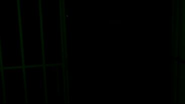 Nonton Hermosa Reclusa Es Follada Por Enorme Verga De Policia - Melanie Caceres & Tommy Verga thumbnail