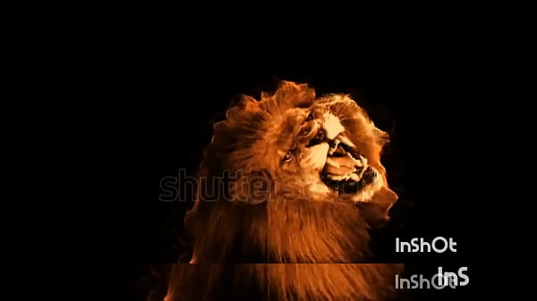 Mr handsome fucking chanp