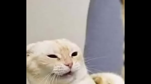 Video x&aacute_c minh