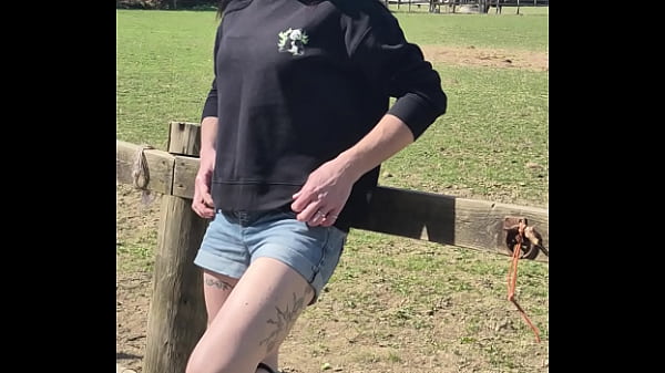 Demelza update #11 20250406 132953 apr 06 2025 