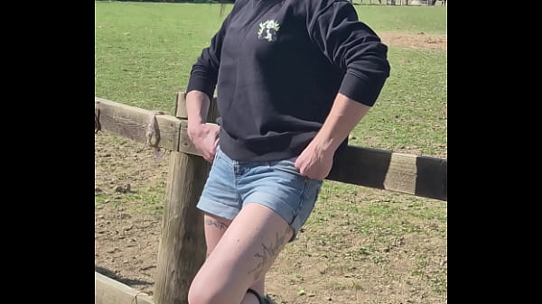 Demelza update #11 20250406 132953 apr 06 2025 