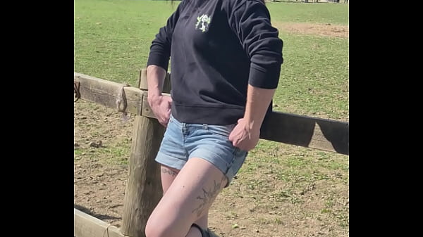 Demelza update #11 20250406 132953 apr 06 2025 