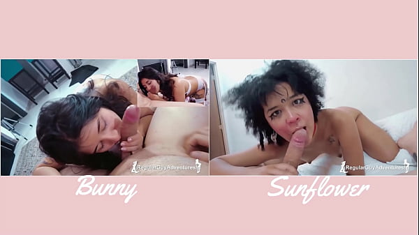 Versus#3 bunny vs sunflower