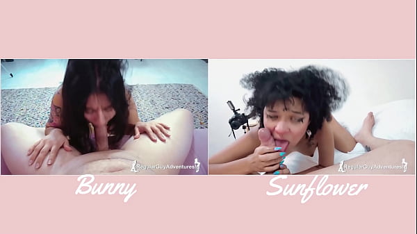 Versus#3 bunny vs sunflower 