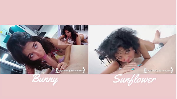 Play MP4 - VERSUS&num;3 - BUNNY vs SUNFLOWER