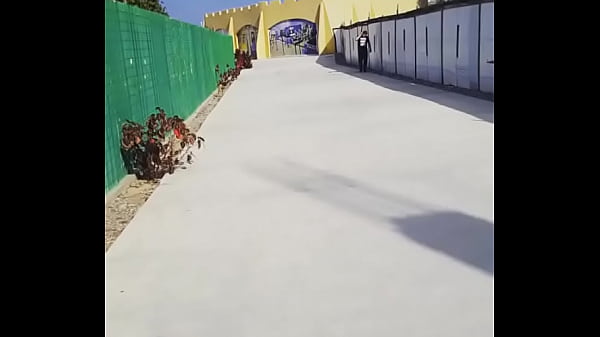 Nonton Caminando En Shorts thumbnail