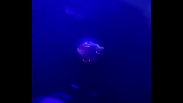 Nonton Still Thinking About How Fun #urbanxawards Was This Weekend #weekend #lingerieparty #urbanxawards2024 #snoopdogg #coc... thumbnail