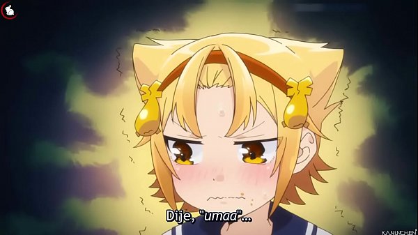 yatogame chan kansatsu nikki Capitulo 01 Completo_Subtitulado en Español