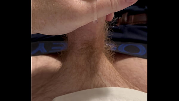 Ginger bears leaky faucet 