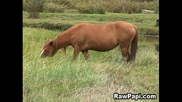 Play MP4 - Hot Latino Gay 69