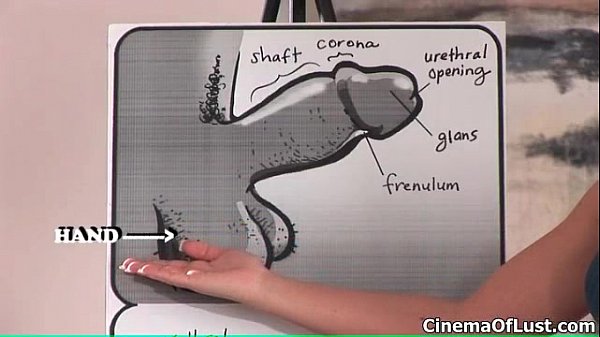 Play MP4 - Sexy brunette babe gets horny showing