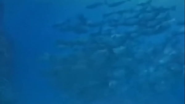 La vida podr&iacute;a ser un sue&ntilde;o 