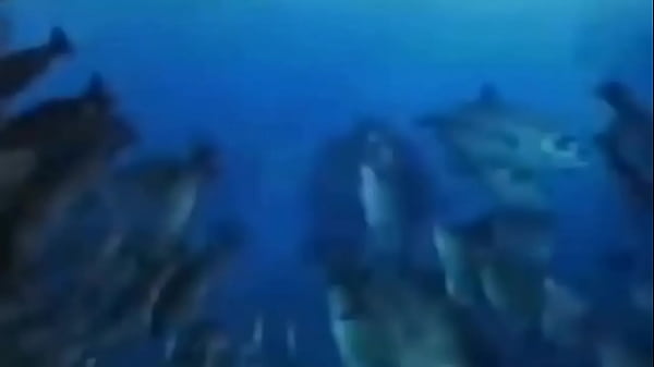 La vida podr&iacute;a ser un sue&ntilde;o 