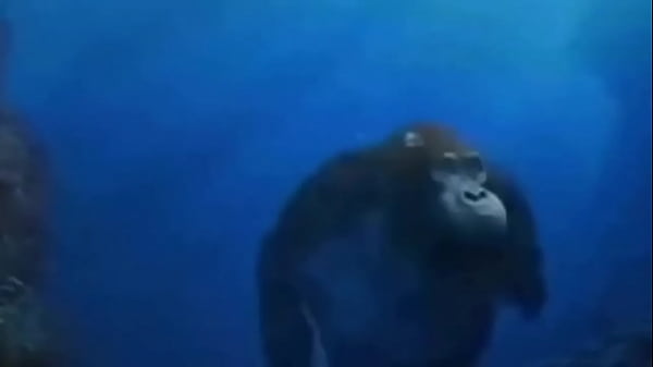 La vida podr&iacute;a ser un sue&ntilde;o 