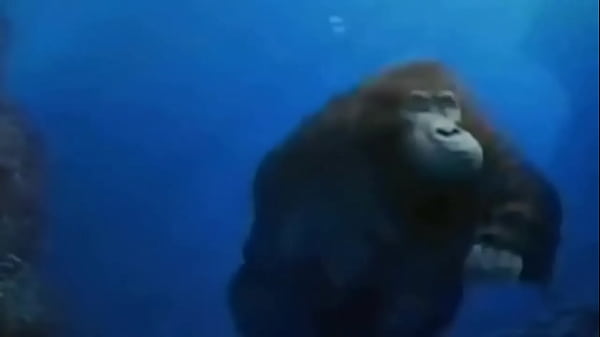 La vida podr&iacute;a ser un sue&ntilde;o 