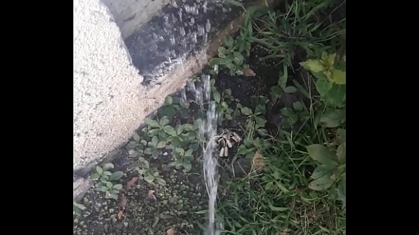 Play MP4 - Meo ma&ntilde;anero