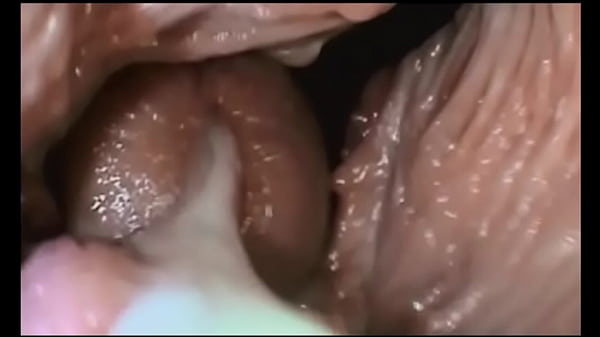 Play MP4 - Journey to the Inside of the Pussy