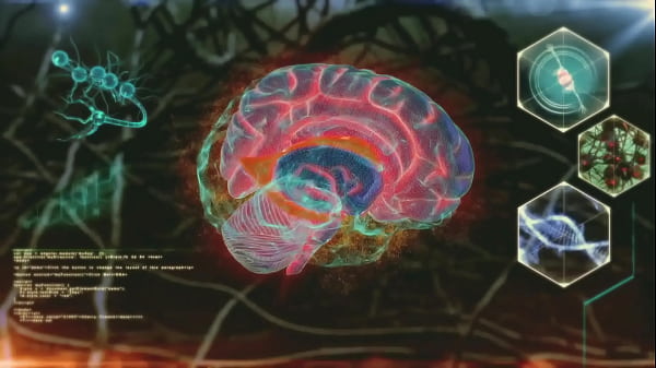 Hookup With A Total Stranger &ndash; No Questions Asked thumbnail