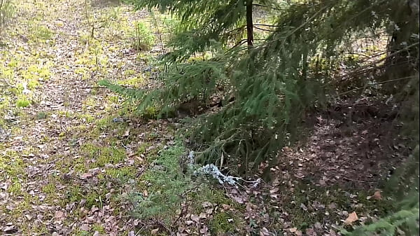 Nonton A Forest Gift For A Mushroom Picker thumbnail