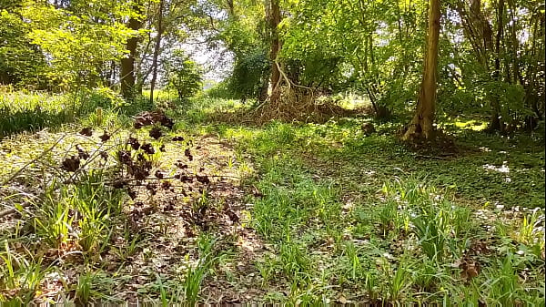 Nonton Wild Escape In The Brittany Woods - Outdoor Sex In Nature thumbnail