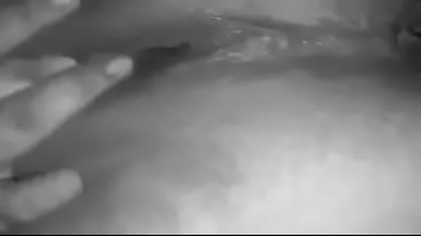 trim.34DD3DAB-40CA-4C9F-B05D-5040F2616514.MOV 