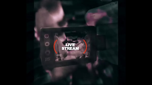 Loyalmoves production 