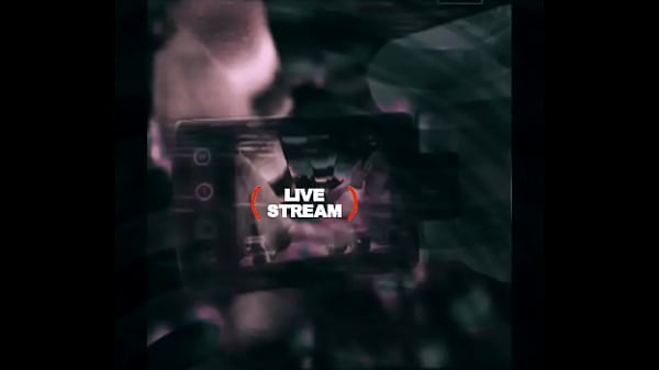 Loyalmoves production 