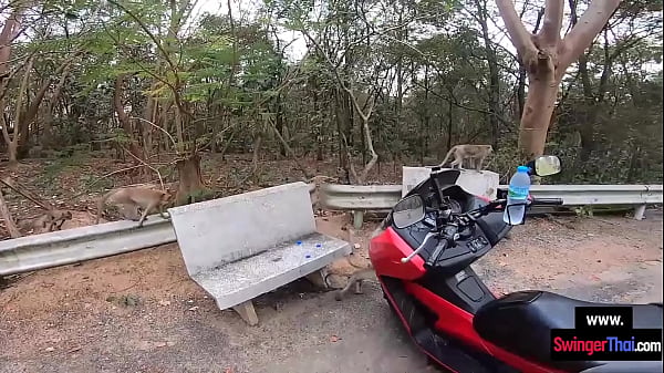 Amateur Thai teen GF thanking boyfriend with a blowjob and_a big cock ride