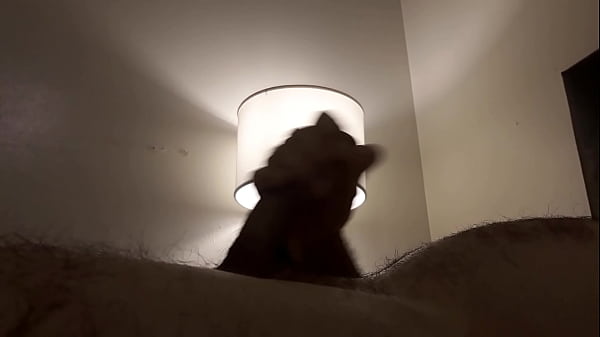 Play MP4 - Jalandomela y termino