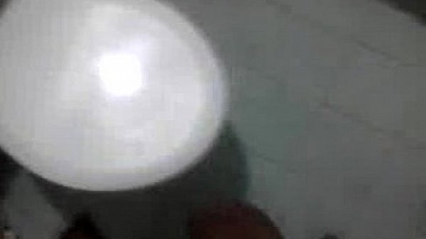 paja  Venezuela Guayana 