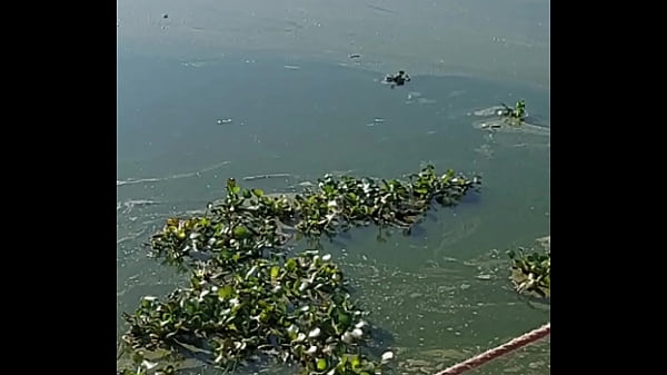 Nonton No Panties Under Table On Bar thumbnail