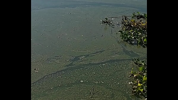 No panties under table on bar 