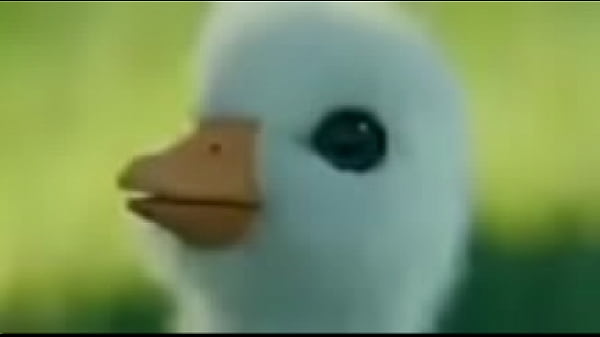 SoyGaulex entrevistando pendejos 2 penesito_shitpost