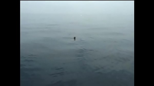 Play MP4 - Ebony gets pussy bent over and fucked hard by white cock outside