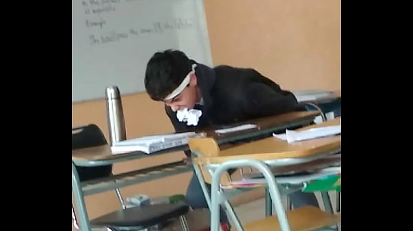 Dinosaurios en la sala sale mal