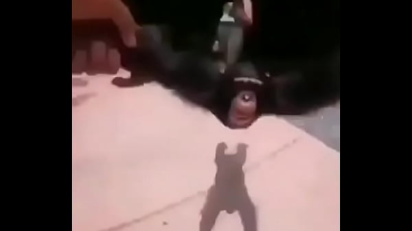 MONO dando vueltas alrededor de mi