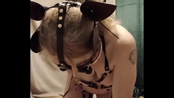 2025 10 29 Esclave F autoseance harnais et soumission