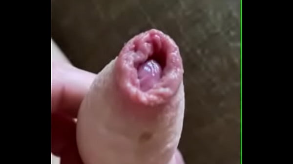 Neostinydick - chat content #1 - JICF3977 - Dec 26, 2024 