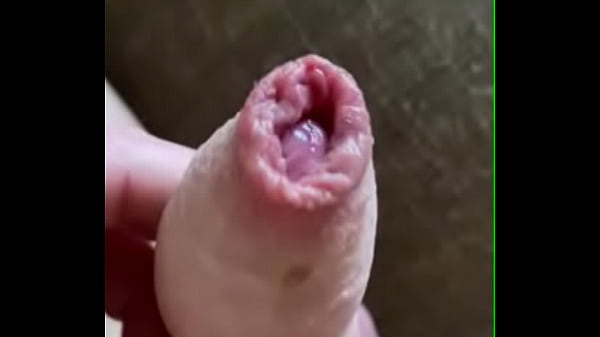 Neostinydick - chat content #1 - JICF3977 - Dec 26, 2024