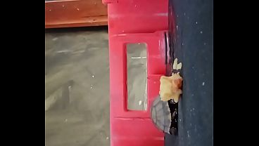 A tartaruga devorou toda a ma&ccedil;&atilde; a um som incr&iacute;vel e nost&aacute;lgico