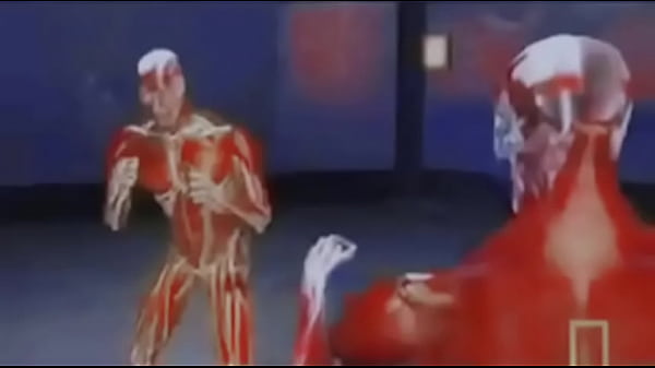 Nonton Ultimo Video... Furry Video De Discord.lo thumbnail