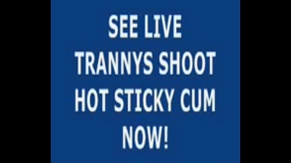 Live Tranny Cum 17
