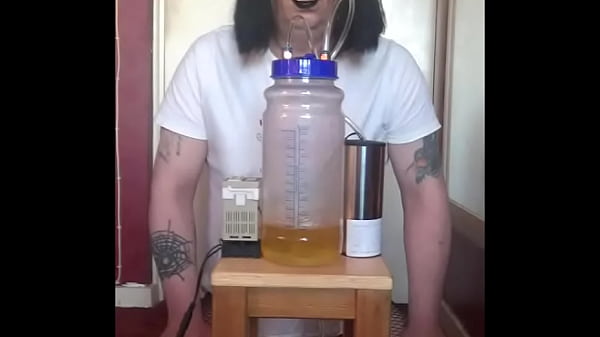 cow milker used 