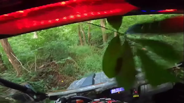 Cheetah Adora s 4x4 ride