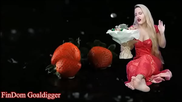 A story about paypig who lost his money 