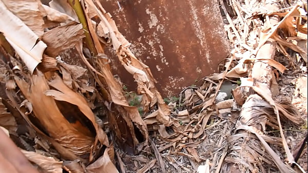 Play MP4 - danu a bunda no mato