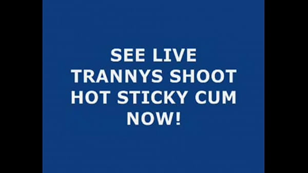 Live Tranny Cum 116