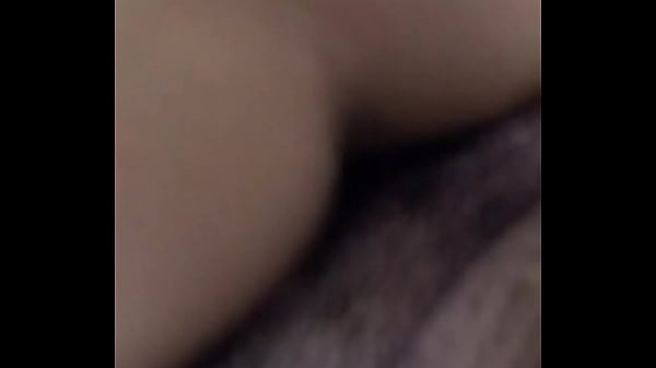 D&aacute;ndole de perrito